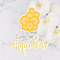 curso de orquideas