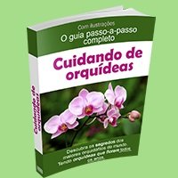 Cuidando de orquídeas O Manual Passo a passo Curso.blog.br