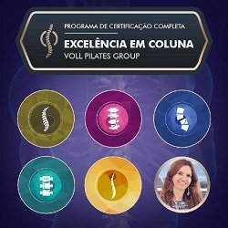 Excelência em Coluna Voll