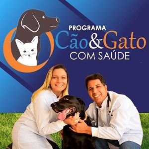 Programa Cão com Saúde