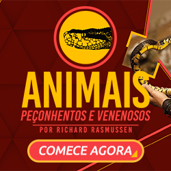 Animais Peçonhentos Curso com Richard Rasmussen