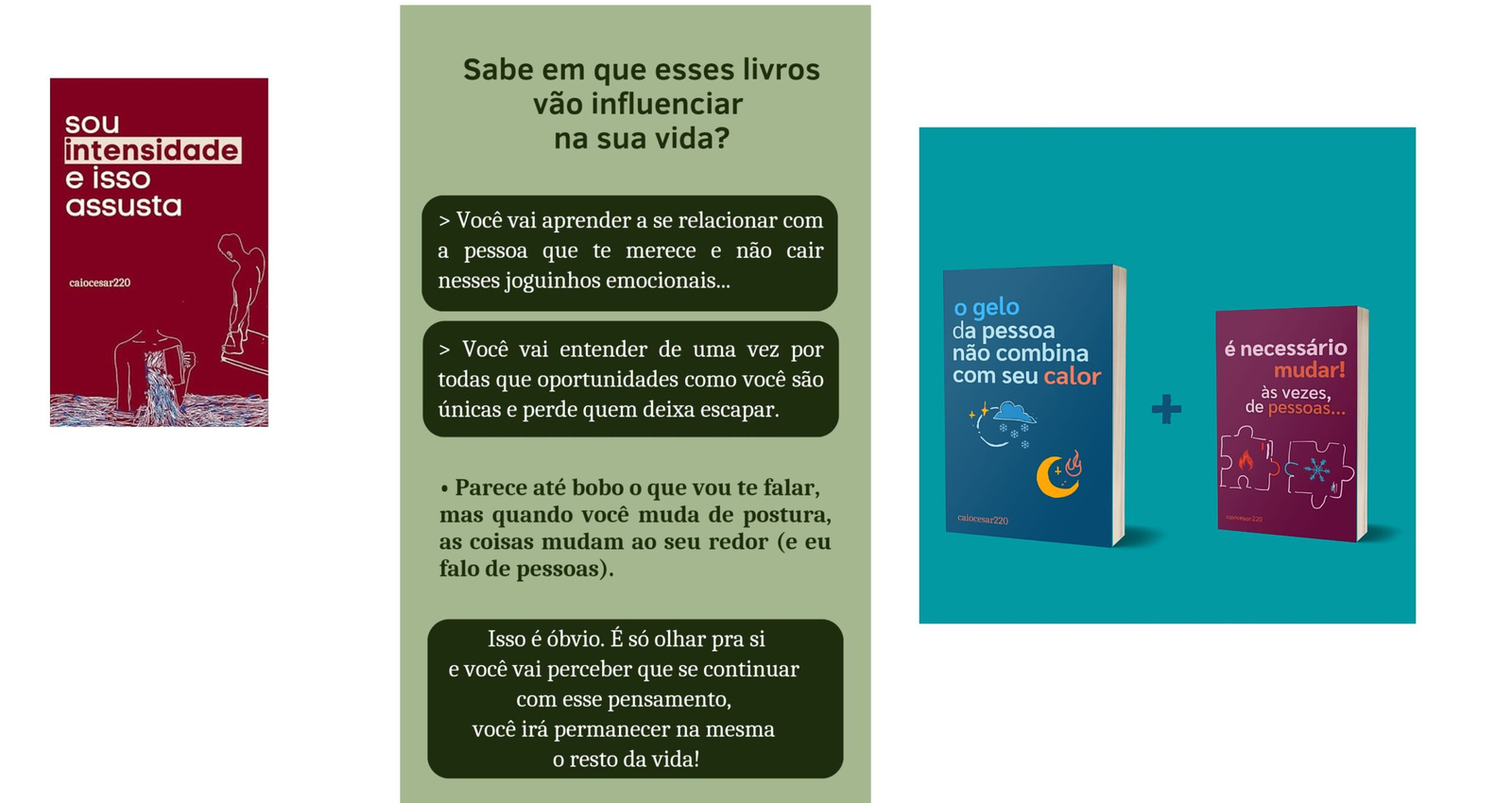 Caiocesar220 os melhores Livros: Gelo não combina - Sou Intensidade e Isso me assusta Curso.blog.br