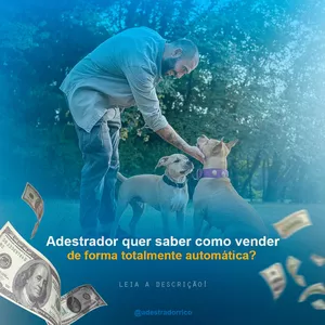 Como Se Tornar um Adestrador de Sucesso e Faturar Mais de 10K por Mês com o Curso "Adestrador Rico" de Marcos Mansur Curso.blog.br