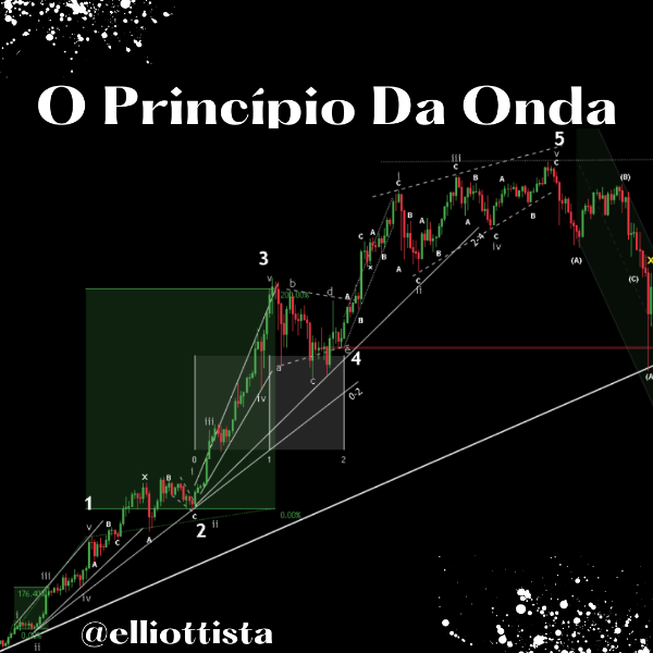 O Princípio da Onda: Elliott Objetivo / Lucro Sem Subjetividade 1 o princípio da onda